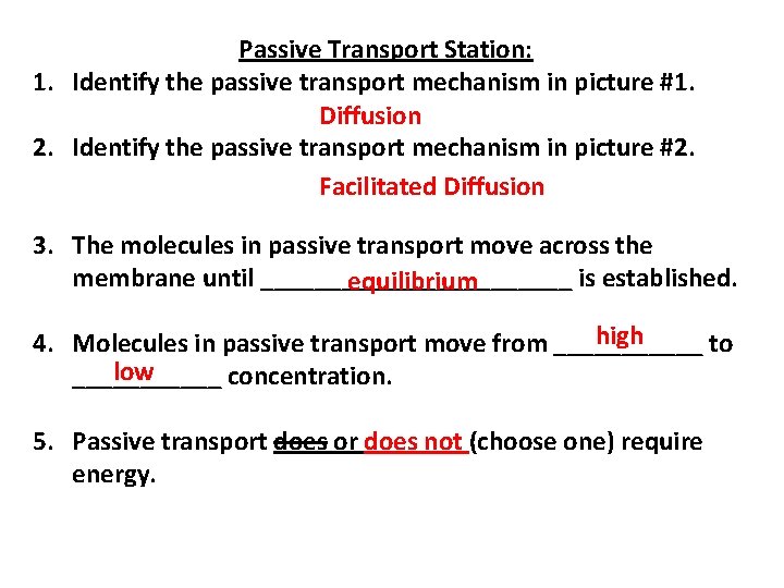 Passive Transport Station: 1. Identify the passive transport mechanism in picture #1. Diffusion 2.