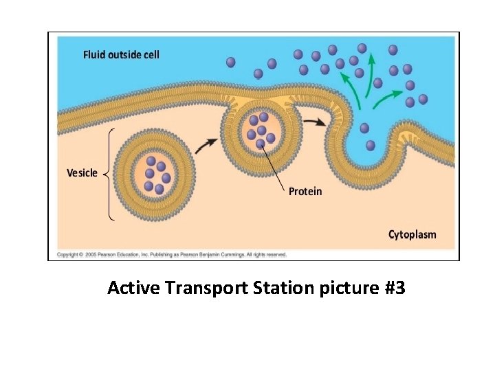 Active Transport Station picture #3 