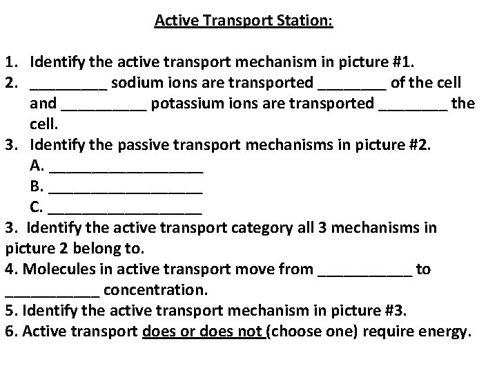 Active Transport Station: 1. Identify the active transport mechanism in picture #1. 2. _____