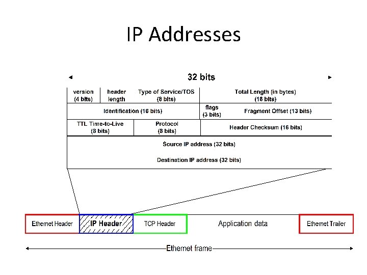 IP Addresses 
