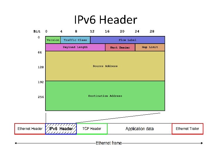 IPv 6 Header 