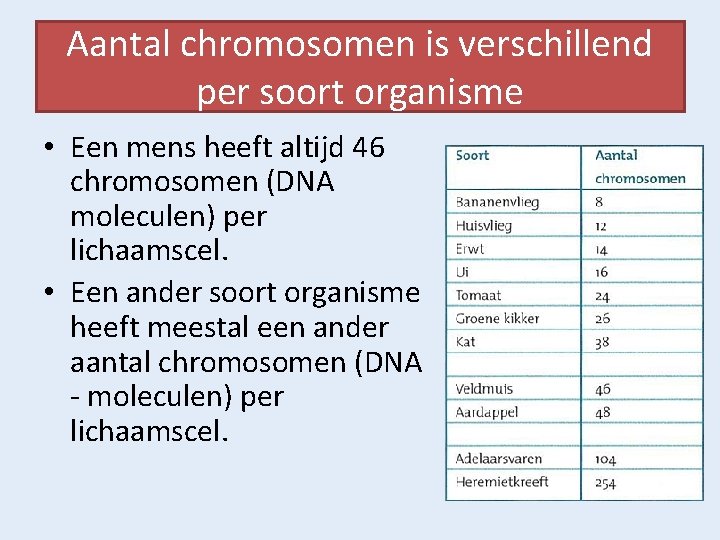 Aantal chromosomen is verschillend per soort organisme • Een mens heeft altijd 46 chromosomen