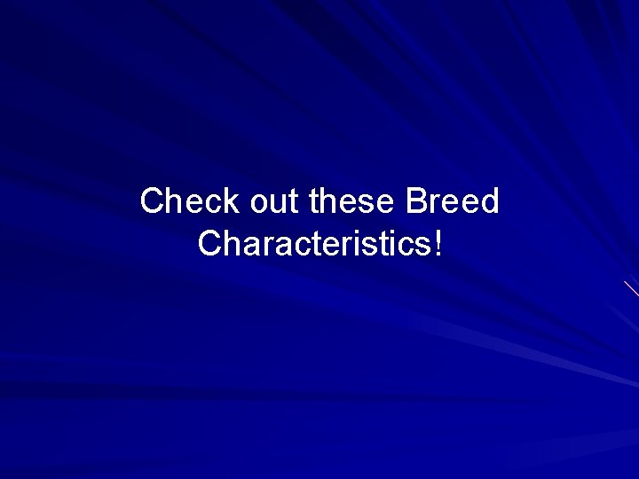 Check out these Breed Characteristics! 