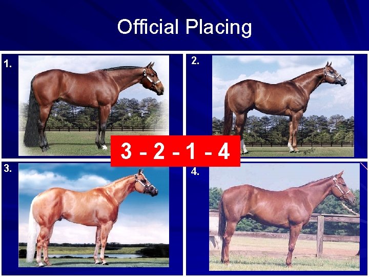 Official Placing 1. 3. 2. 3 -2 -1 -4 4. 