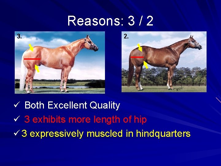 Reasons: 3 / 2 3. 2. ü Both Excellent Quality ü 3 exhibits more