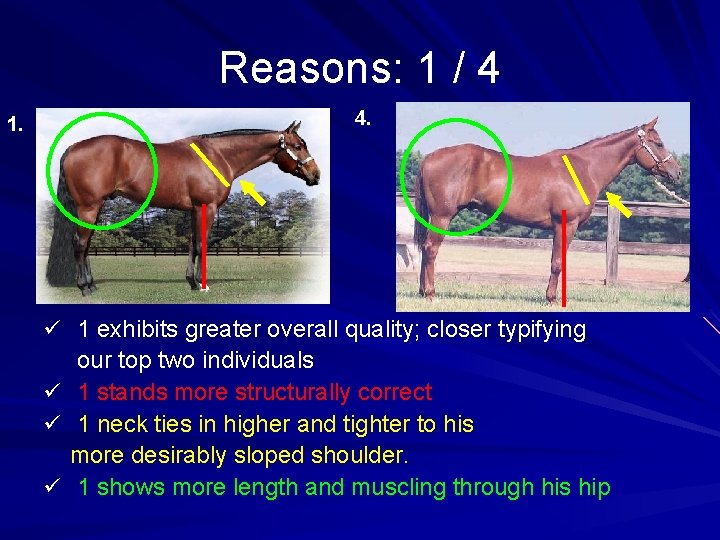 Reasons: 1 / 4 4. 1. ü 1 exhibits greater overall quality; closer typifying