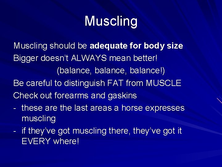 Muscling should be adequate for body size Bigger doesn’t ALWAYS mean better! (balance, balance!)