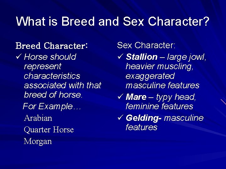 What is Breed and Sex Character? Breed Character: ü Horse should represent characteristics associated