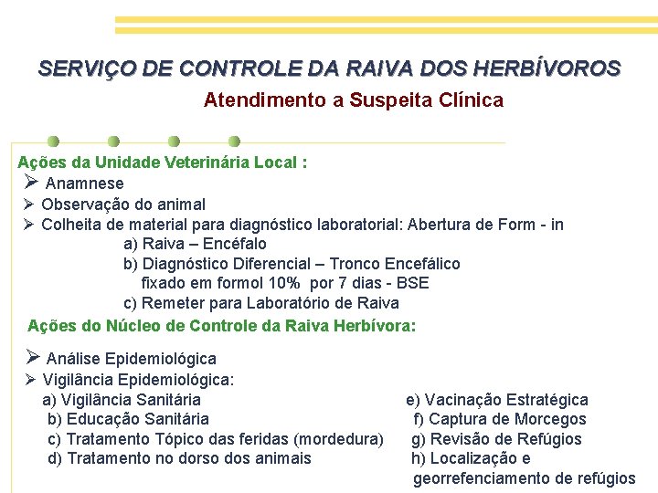 SERVIÇO DE CONTROLE DA RAIVA DOS HERBÍVOROS Atendimento a Suspeita Clínica Ações da Unidade