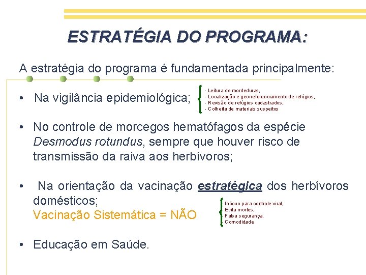 ESTRATÉGIA DO PROGRAMA: A estratégia do programa é fundamentada principalmente: • Na vigilância epidemiológica;