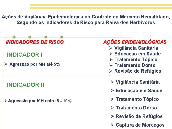 Ações de Vigilância Epidemiológica no Controle do Morcego Hematófago, Segundo os Indicadores de Risco