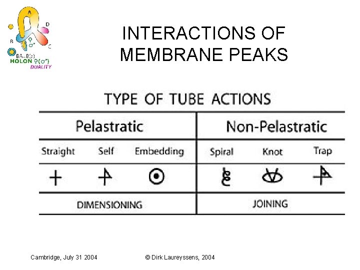 INTERACTIONS OF MEMBRANE PEAKS Cambridge, July 31 2004 © Dirk Laureyssens, 2004 