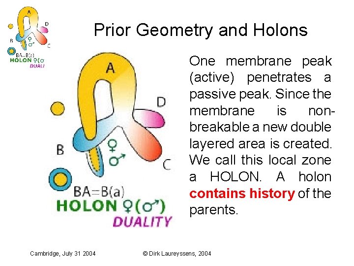 Prior Geometry and Holons One membrane peak (active) penetrates a passive peak. Since the