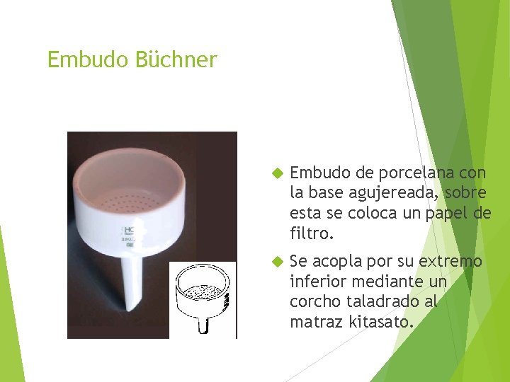 Embudo Büchner Embudo de porcelana con la base agujereada, sobre esta se coloca un