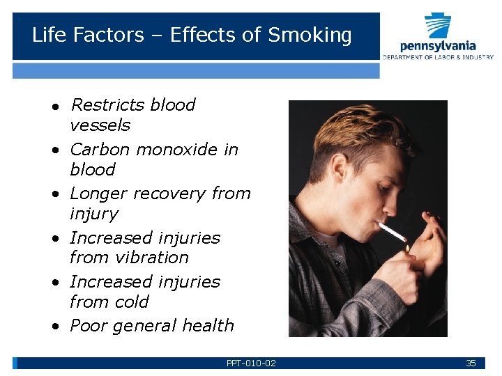 Life Factors – Effects of Smoking • • • Restricts blood vessels Carbon monoxide