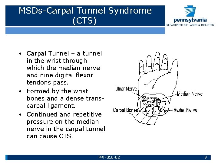 MSDs-Carpal Tunnel Syndrome (CTS) • Carpal Tunnel – a tunnel in the wrist through