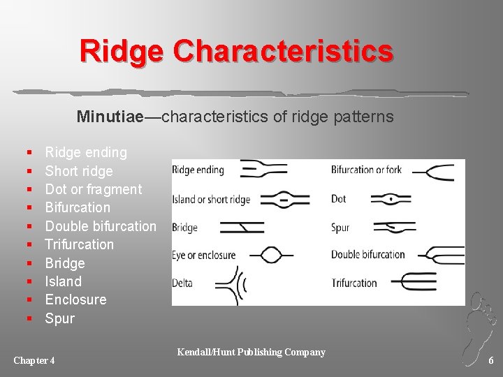 Ridge Characteristics Minutiae—characteristics of ridge patterns § § § § § Ridge ending Short