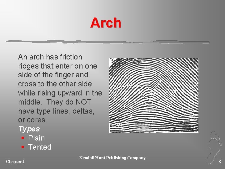 Arch An arch has friction ridges that enter on one side of the finger