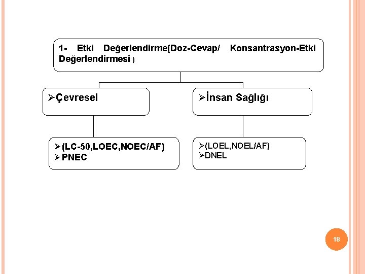 1 - Etki Değerlendirme(Doz-Cevap/ Değerlendirmesi ) ØÇevresel Ø(LC-50, LOEC, NOEC/AF) ØPNEC Konsantrasyon-Etki Øİnsan Sağlığı