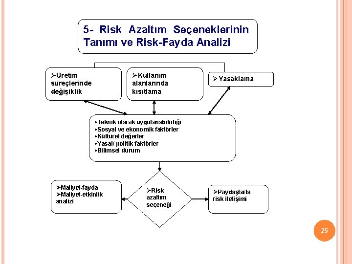 5 - Risk Azaltım Seçeneklerinin Tanımı ve Risk-Fayda Analizi ØÜretim süreçlerinde değişiklik ØKullanım alanlarında