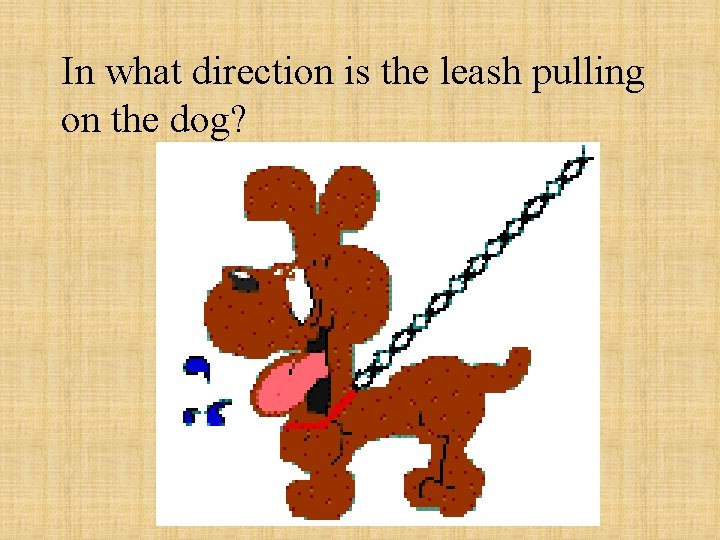 In what direction is the leash pulling on the dog? In what direction is the leash pulling on the dog?