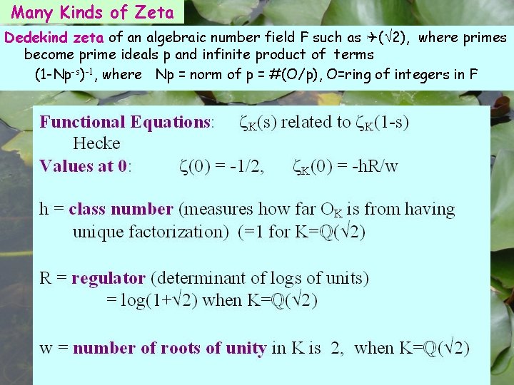 Many Kinds of Zeta Dedekind zeta of an algebraic number field F such as