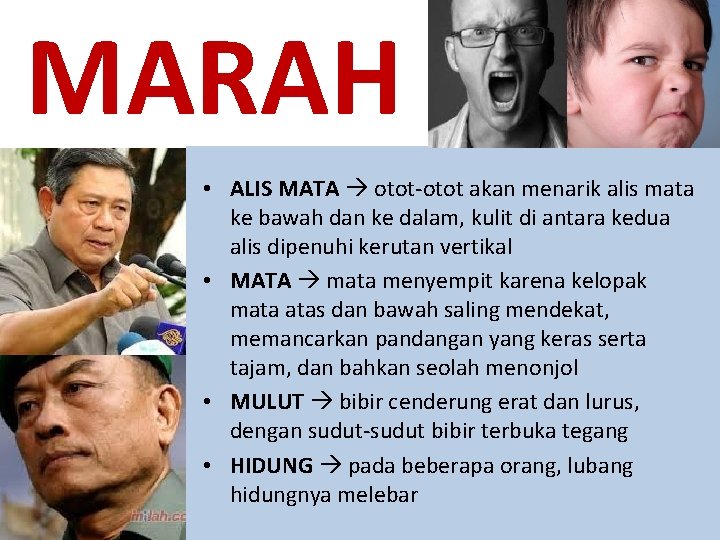 MARAH • ALIS MATA otot-otot akan menarik alis mata ke bawah dan ke dalam,