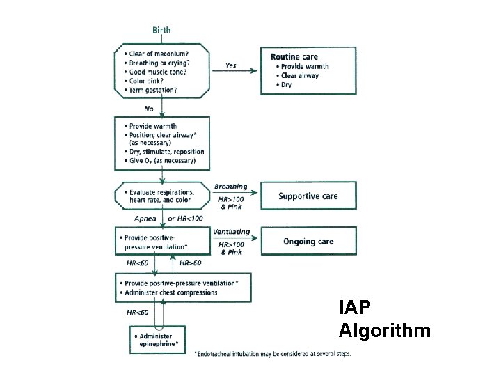 IAP Algorithm 