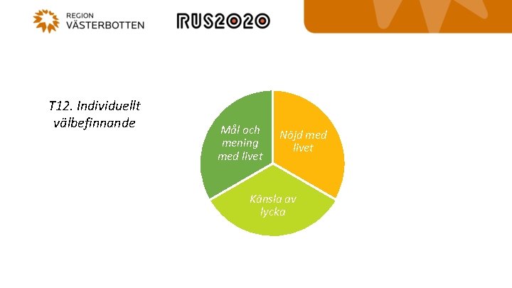 T 12. Individuellt välbefinnande Mål och mening med livet Nöjd med livet Känsla av