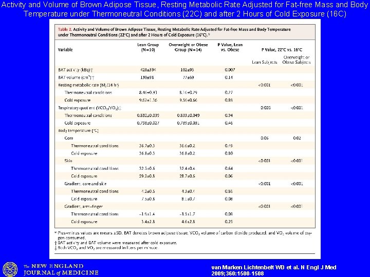 Activity and Volume of Brown Adipose Tissue, Resting Metabolic Rate Adjusted for Fat-free Mass