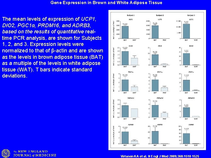 Gene Expression in Brown and White Adipose Tissue The mean levels of expression of