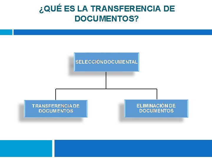 ¿QUÉ ES LA TRANSFERENCIA DE DOCUMENTOS? 