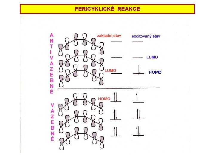 PERICYKLICKÉ REAKCE HOMO PERICYKLICKÉ REAKCE HOMO