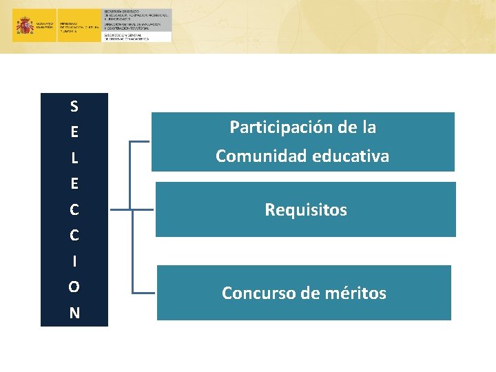 S E L E C C I O N Participación de la Comunidad educativa