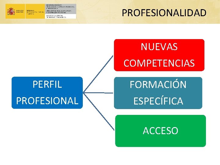 PROFESIONALIDAD NUEVAS COMPETENCIAS PERFIL PROFESIONAL FORMACIÓN ESPECÍFICA ACCESO 