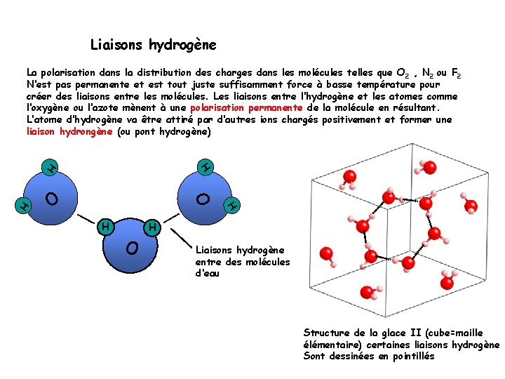 Liaisons hydrogène La polarisation dans la distribution des charges dans les molécules telles que