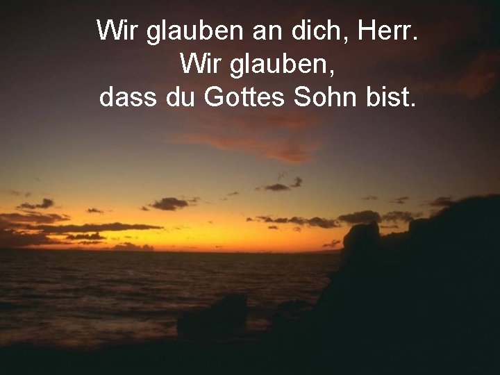 Wir glauben an dich, Herr. Wir glauben, dass du Gottes Sohn bist. 