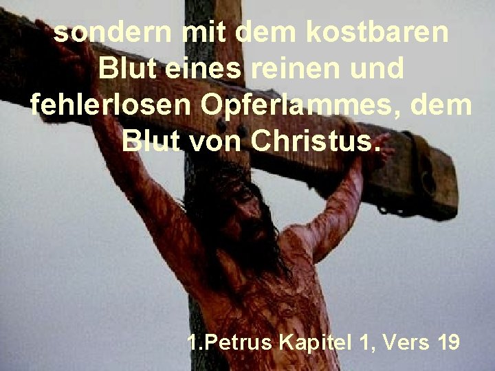 sondern mit dem kostbaren Blut eines reinen und fehlerlosen Opferlammes, dem Blut von Christus.