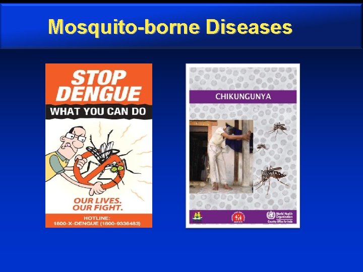 Mosquito-borne Diseases 