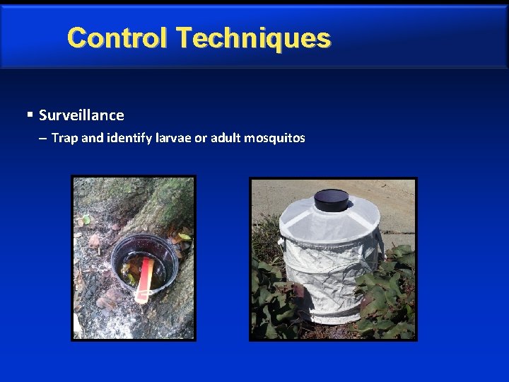 Control Techniques § Surveillance – Trap and identify larvae or adult mosquitos 