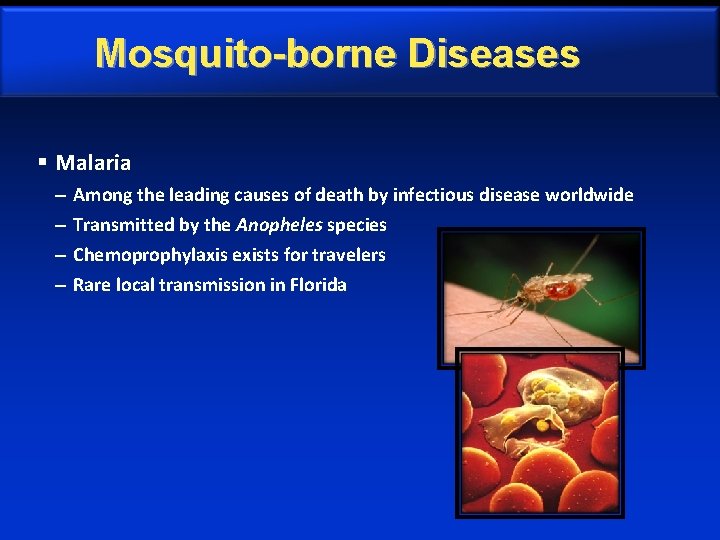 Mosquito-borne Diseases § Malaria – – Among the leading causes of death by infectious