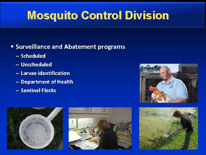 Mosquito Control Division § Surveillance and Abatement programs – – – Scheduled Unscheduled Larvae