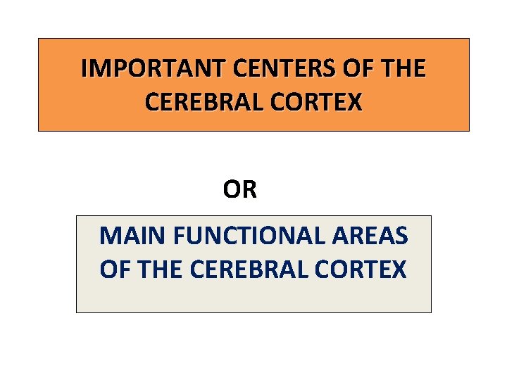 IMPORTANT CENTERS OF THE CEREBRAL CORTEX OR MAIN FUNCTIONAL AREAS OF THE CEREBRAL CORTEX