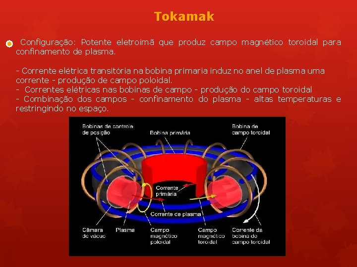 Tokamak Configuração: Potente eletroímã que produz campo magnético toroidal para confinamento de plasma. -