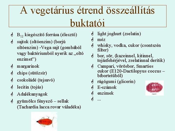 A vegetárius étrend összeállítás buktatói G B 12 kiegészítő forrása (élesztő) G sajtok (oltóenzim)