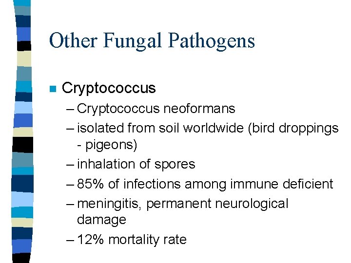 Other Fungal Pathogens n Cryptococcus – Cryptococcus neoformans – isolated from soil worldwide (bird