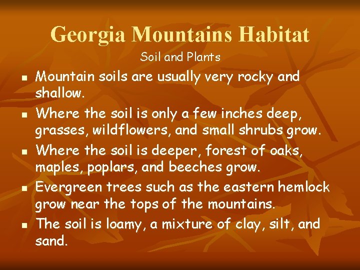 Georgia Mountains Habitat Soil and Plants n n n Mountain soils are usually very