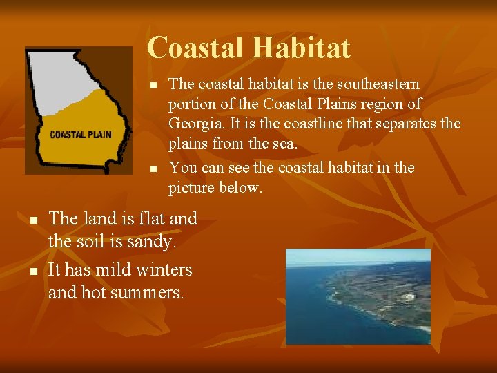 Coastal Habitat n n The coastal habitat is the southeastern portion of the Coastal