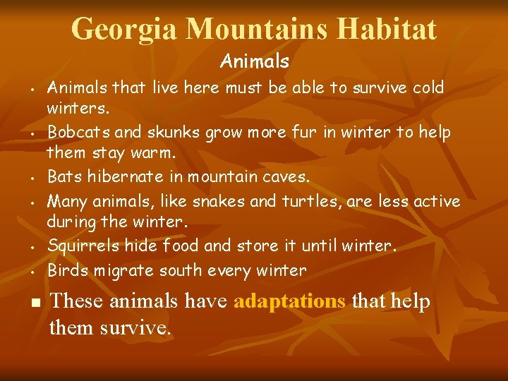 Georgia Mountains Habitat Animals • • • n Animals that live here must be