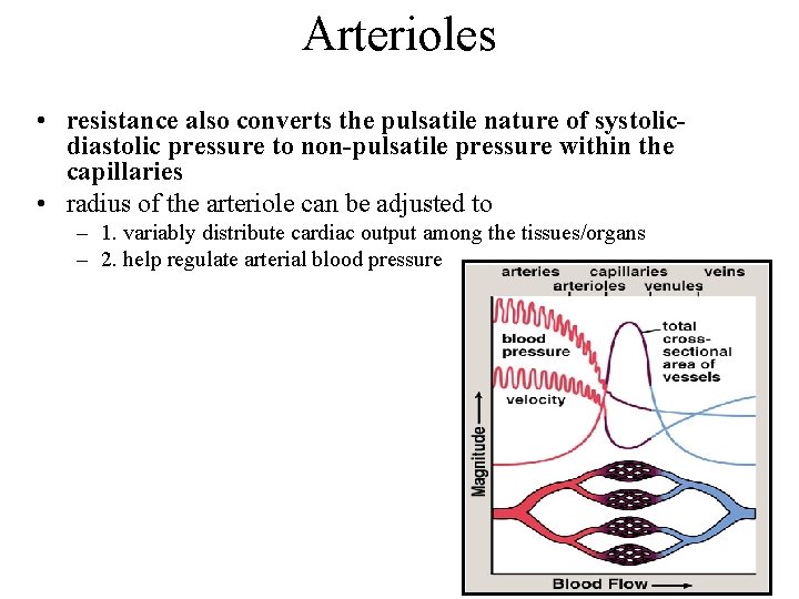 Arterioles • resistance also converts the pulsatile nature of systolicdiastolic pressure to non-pulsatile pressure